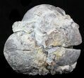 Crystal Filled Dugway Geode #33195-1